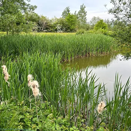 Lejlighed Des Comtes Du Perche 2 Independants De 40 Et 25 M2 Val-au-Perche