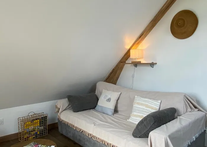 Des Comtes Du Perche 2 Independants De 40 Et 25 M2 Daire *