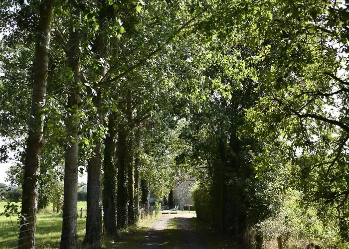 Des Comtes Du Perche 2 Independants De 40 Et 25 M2 Daire *