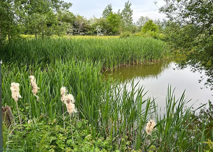 Daire Des Comtes Du Perche 2 Independants De 40 Et 25 M2 Val-au-Perche