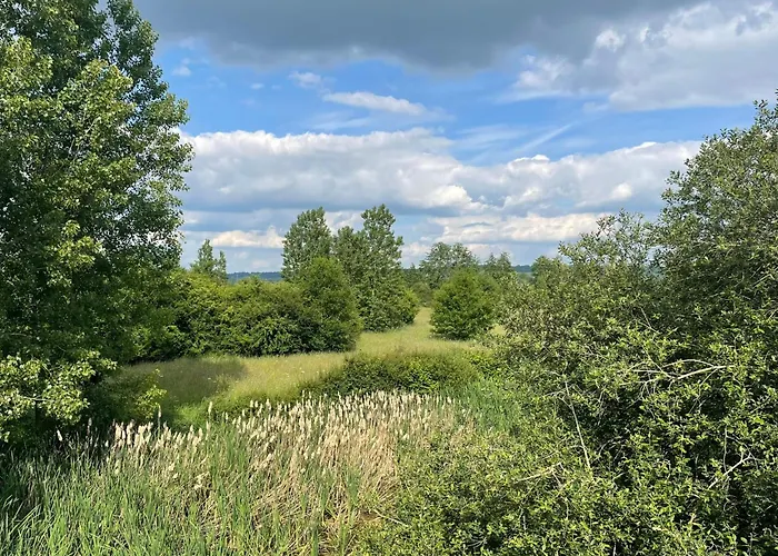 Des Comtes Du Perche 2 Independants De 40 Et 25 M2 *